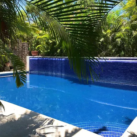 Villa Palomas